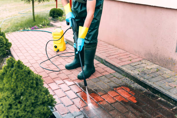 Best Solar Panel Cleaning  in Willard, OH